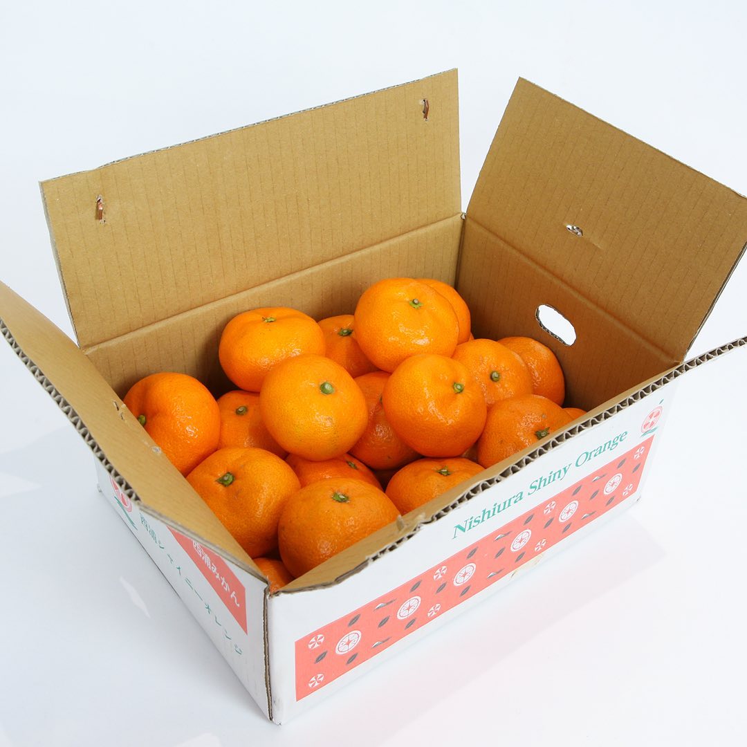 【予約商品/2月発送予定】みかん(寿太郎・優品)10kg【送料無料(北海道別途)】