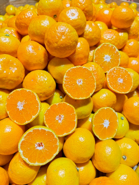 【予約商品/10月中旬頃 発送予定】みかん(ゆら早生・中玉)5kg【送料無料(北海道別途)】