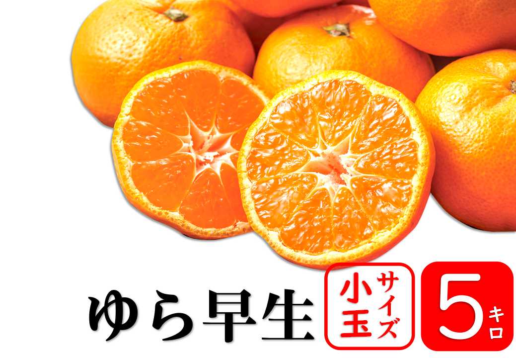 【予約商品/10月中旬頃 発送予定】みかん(ゆら早生・小玉)5kg【送料無料(北海道別途)】