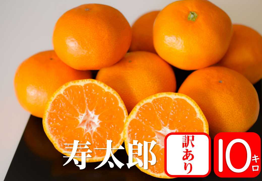 【予約商品/2月発送予定】みかん(寿太郎・訳あり)10kg【送料無料(北海道別途)】