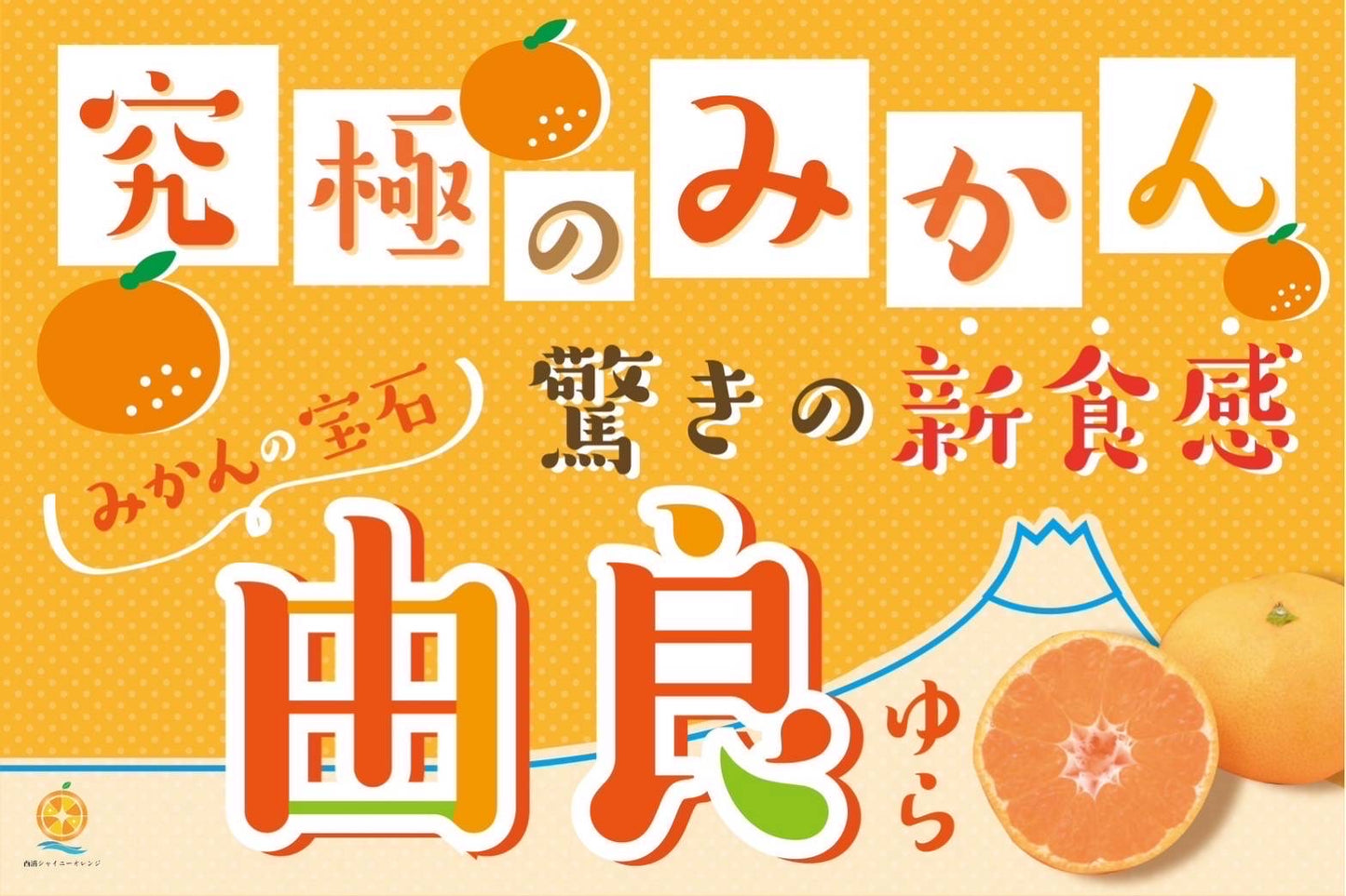 【予約商品/10月中旬頃発送予定】みかん(ゆら早生・中玉)3kg【送料無料(北海道別途)】