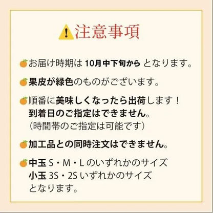 由良みかん　3ｋｇ　【特別品】