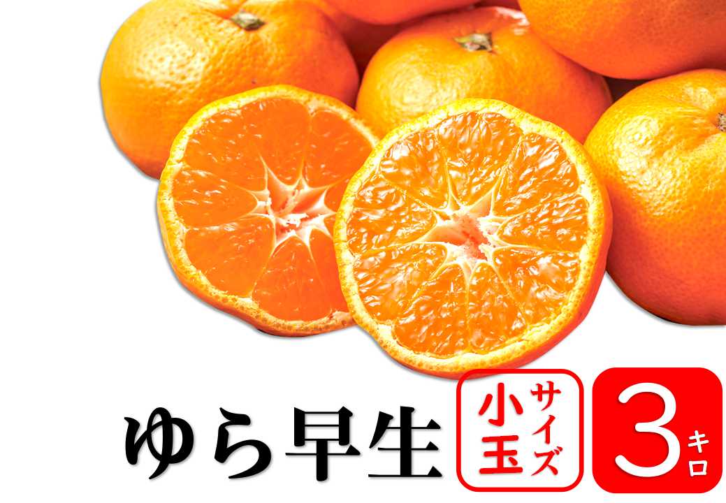 【予約商品／10月中旬頃　発送予定】みかん（ゆら早生・小玉）３kg【送料無料(北海道別途)】