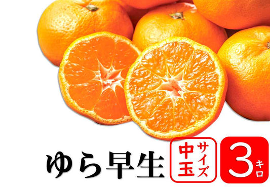 【予約商品／10月中旬頃発送予定】みかん（ゆら早生・中玉）３kg【送料無料(北海道別途)】