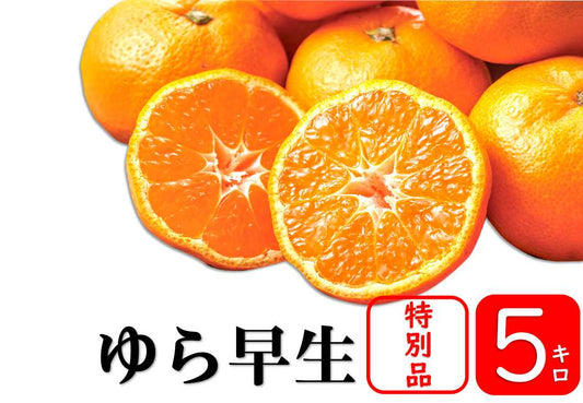 【予約商品／10月中旬頃発送予定】みかん（ゆら早生【特別品】）5kg【送料無料(北海道別途)】