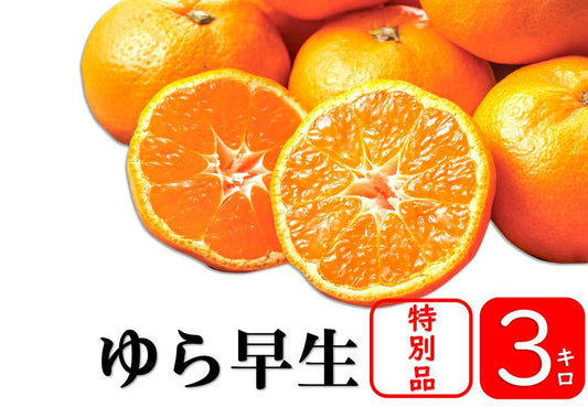 【予約商品／10月中旬頃発送予定】みかん（ゆら早生【特別品】）3kg【送料無料(北海道別途)】