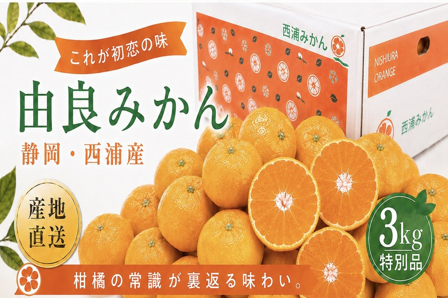 由良みかん　3ｋｇ　【特別品】