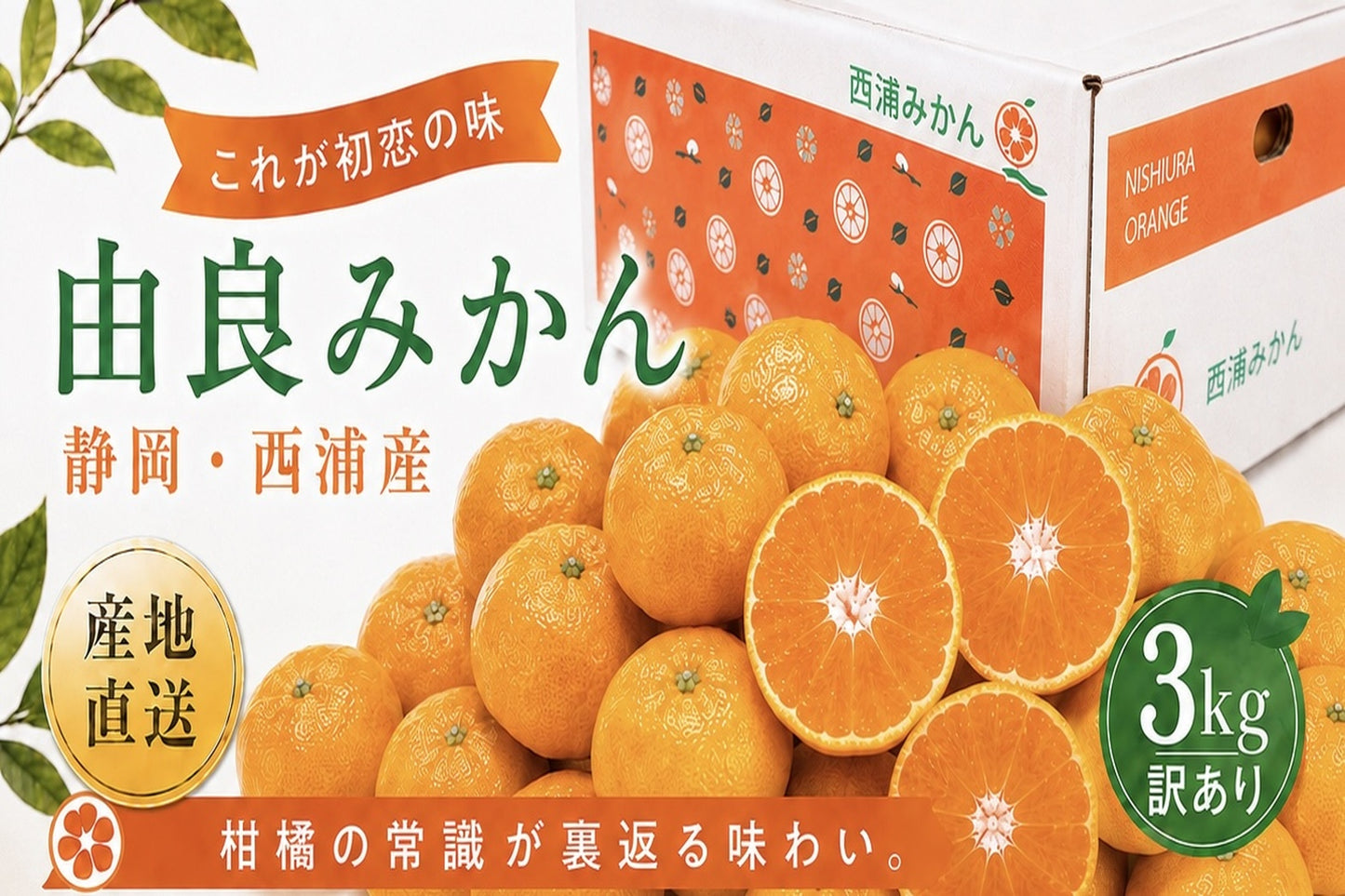 由良みかん　3kg　【訳あり】