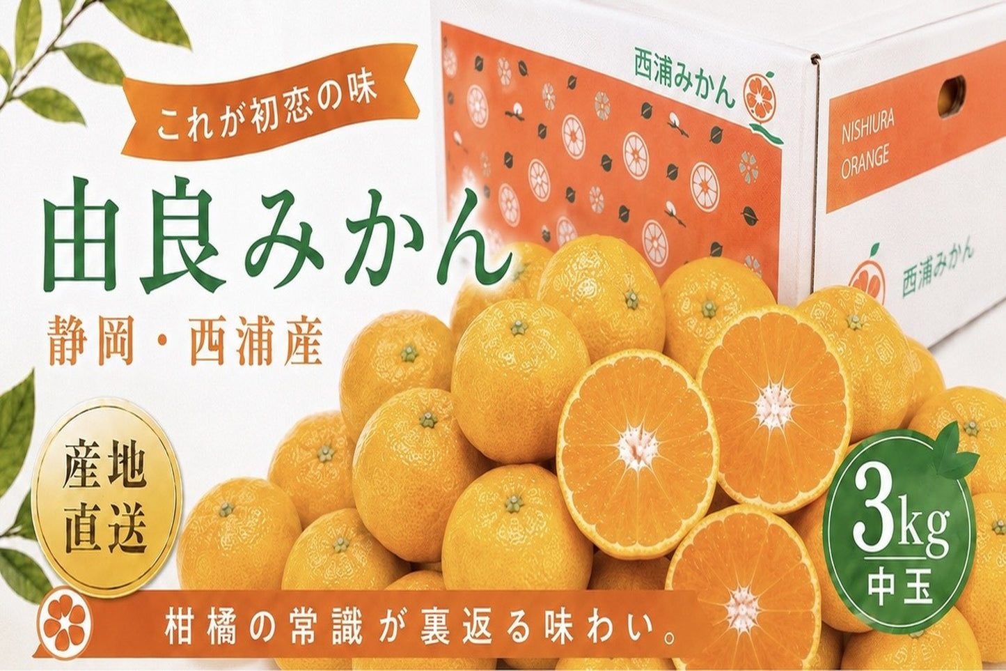 由良みかん　3kg　　【中玉】