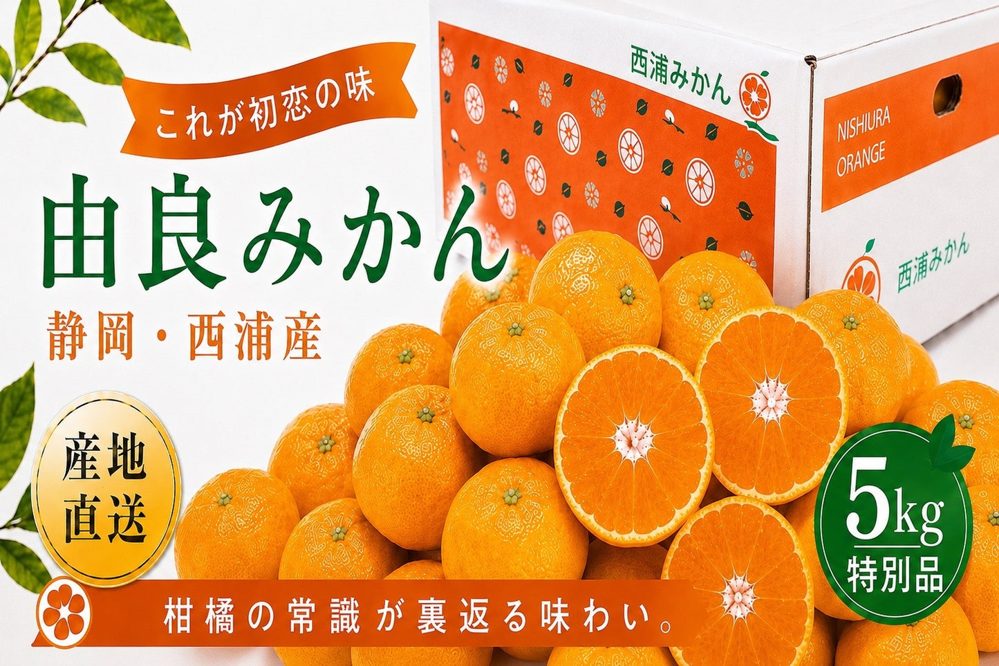 由良みかん　5kg　【特別品】