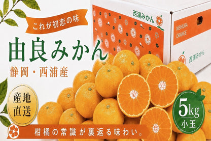 由良みかん　 5kg 【小玉】