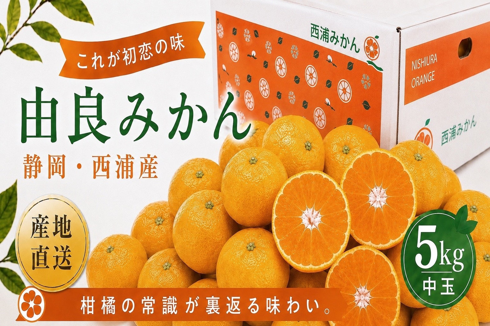 西浦シャイニーオレンジ – shiny-orange