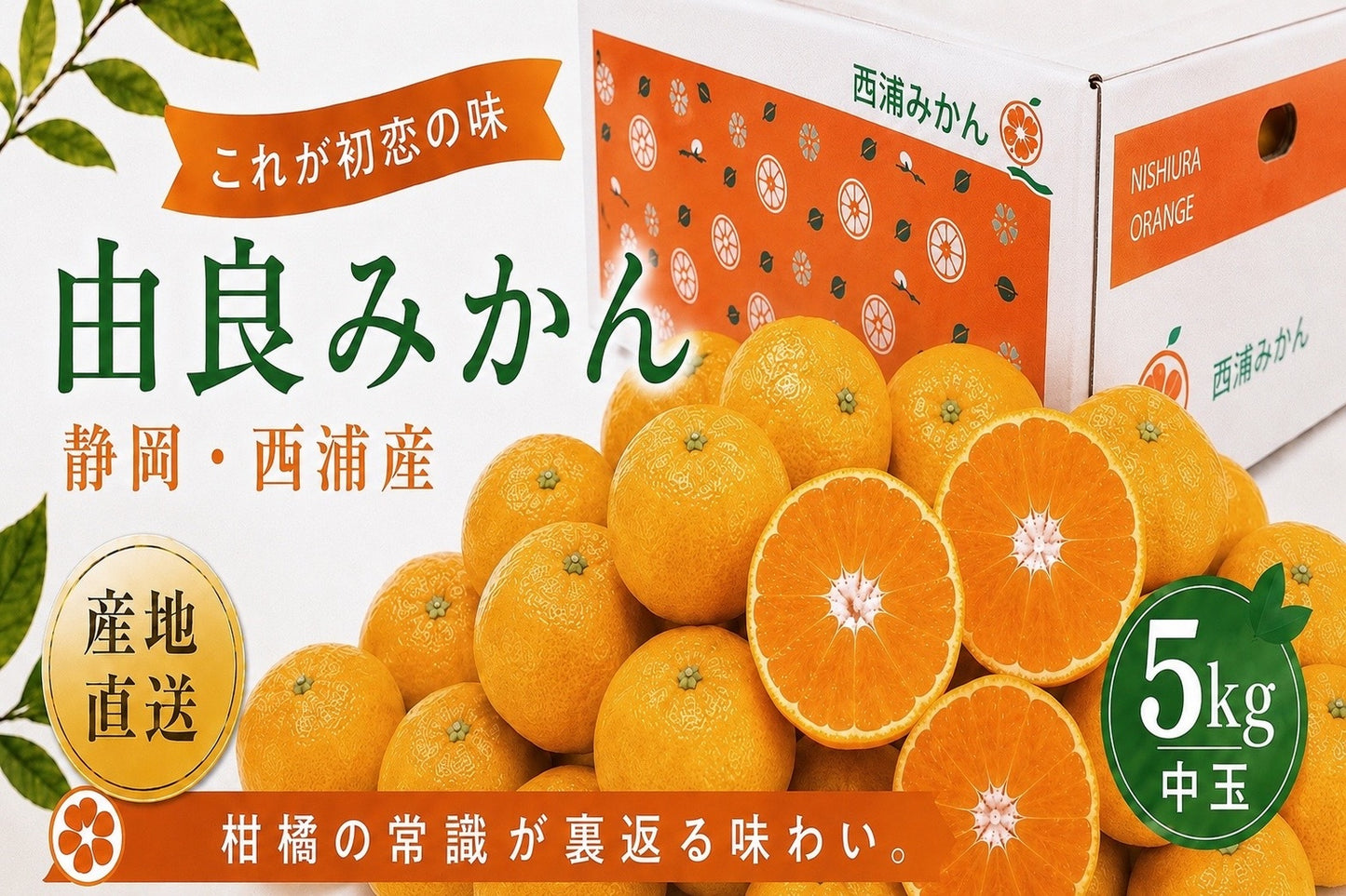 由良みかん　5kg　【中玉】