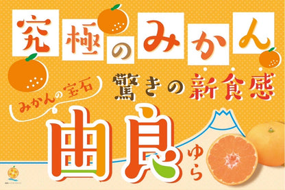 【予約商品／10月中旬頃発送予定】みかん（ゆら早生・中玉）３kg【送料無料(北海道別途)】