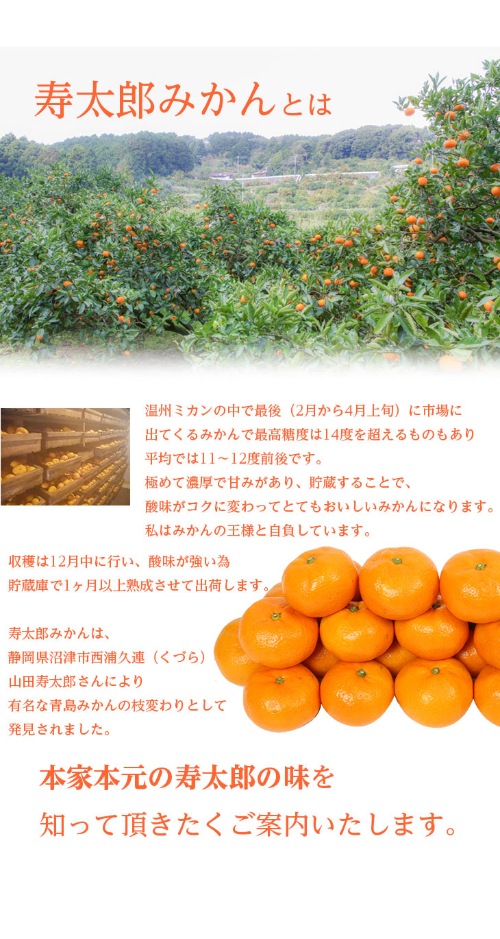 【予約商品／２月発送予定】みかん（寿太郎・訳あり）３kg【送料無料(北海道別途)】