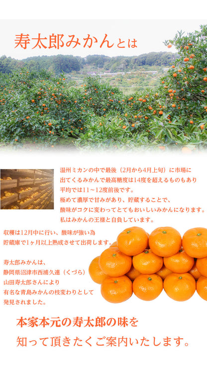 【予約商品／２月発送予定】みかん（寿太郎・訳あり）３kg【送料無料(北海道別途)】